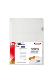 Bigpoint - L Dosya Standart 90 Mikron 100'lü Paket Diğer