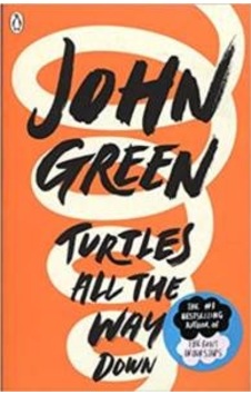 Turtles All The Way Down 9780141346045