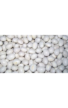 Şeker Fasulye  1 KG