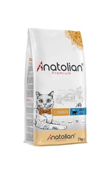 Adult Chicken Yetişkin Tavuklu Kedi Maması 2 Kg Adult Chicken Yetişkin Tavuklu Kedi Maması 2 Kg