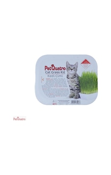 Petquatro Kedi Çimi
