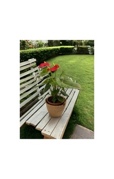 Dekoratif Jüt Hasır Saksılık Havluluk Organizer 30x30 Cm Kırçıl Kırçıl