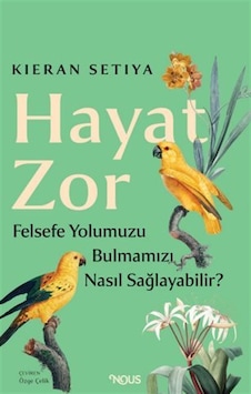 Hayat Zor: Felsefe Yolumuzu Bulmamıza Nasıl Yardım Edebilir /...