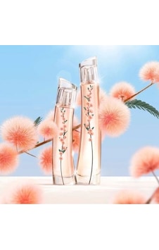 Kenzo Flower Ikebana Mimosa Kadın Parfüm EDP 75 ML Kenzo Flower Ikebana Mimosa Kadın Parfüm EDP 75 ML