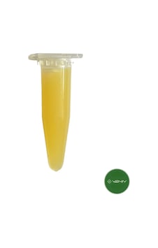 3v Keiki Orkide Macunu- Orkide Yetiştirme Macunu 1,5 Gr 1
