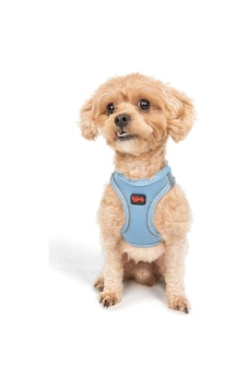 Tailpetz Air-mesh Küçük Ve Orta Irk Kedi Köpek Göğüs Tasması - Yumuşak, Nefes Alabilir, Dayanıklı Mavi, 2xs Sku: Zeusb0829ccdvv Açık Bej - Bej Tailpetz Air-mesh Küçük Ve Orta Irk Kedi Köpek Göğüs Tasması - Yumuşak, Nefes Alabilir, Dayanıklı Mavi, 2xs Sku: Zeusb0829ccdvv Açık Bej - Bej