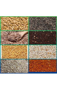 Özel Yem Paketi̇ 7kg Özel Yem Paketi̇ 7kg