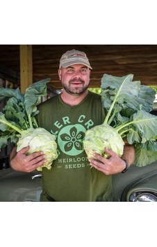 Ata Tohum Geleneksel Giantl Kohlrabi Alabaş Tohumu 15 Tohum Ata Tohum Geleneksel Giantl Kohlrabi Alabaş Tohumu 15 Tohum