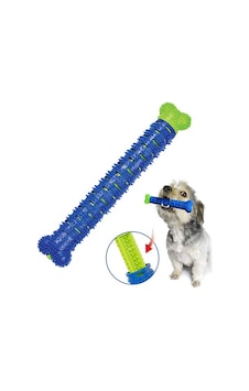 Köpek Diş Temizleme Oyuncağı Chewbrush Köpek Diş Temizleme Oyuncağı Chewbrush