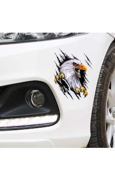 Kartal Araba Oto Sticker Yapıştırma Renkli
