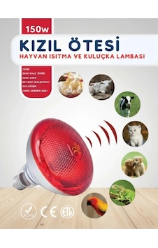 Buğz 150w Kızılötesi İnfrared Isıtıcılı Hayvan Isıtma Ve Kuluçka Lambası Kırmızı Işık E27 Kalın Duy Diğer