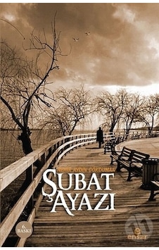 Şubat Ayazı