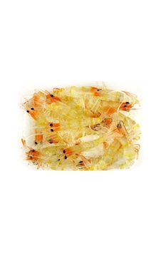 River Bezli Silikon Karides 7.5 Cm 5Li Paket Renk:08 River Bezli Silikon Karides 7.5 Cm 5Li Paket Renk:08