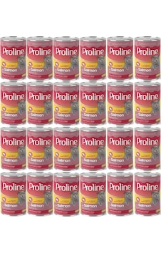 Pro Line Somonlu Yetişkin Kedi Konservesi 24 x 400 G