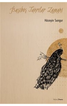 Başıboş Tanrılar Zamanı / Hüseyin Sungur Başıboş Tanrılar Zamanı / Hüseyin Sungur