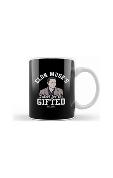 Elon Musk's School For The Gifted Kupa Bardak Porselen Karışık