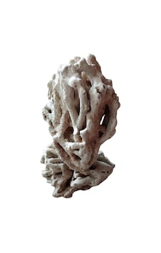 Zeochem - Coral Rock Tonga Fiji 10 Kg Zeochem - Coral Rock Tonga Fiji 10 Kg