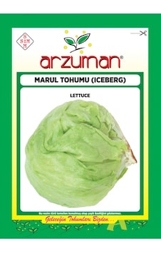 Arzuman Iceberg Marul Tohumu 5 G