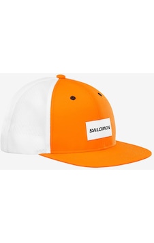 Salomon Trucker Flat Cap Exuberance Şapka Lc2231900 001 Salomon Trucker Flat Cap Exuberance Şapka Lc2231900 001