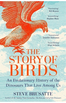 The Story Of Birds: An Evolutionary History Of The Dinosaurs That Live Among Us Picador Uk The Story Of Birds: An Evolutionary History Of The Dinosaurs That Live Among Us Picador Uk