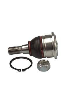Rotıl Ef41102 Prımera, Sunny 4016086m00,40160j7500,4016070j00
