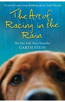 The Art Of Racing In The Rain The Art Of Racing In The Rain