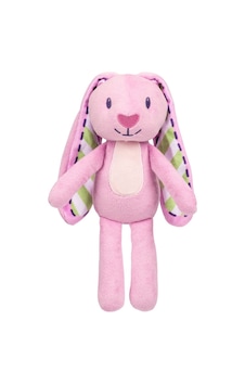 Bluey Peluş Figür Floppy 18094 Çok Renkli Bluey Peluş Figür Floppy 18094 Çok Renkli