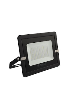 Pelsan Lecto 100 W Led Projektör 5000k Ip65