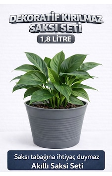 2 Li Saksı Seti 15 Pot Yarı Şeffaf Üretim Saksısı + 1,8 L Gri Dekoratif Kırılmaz Dış Saksı 2 Li Saksı Seti 15 Pot Yarı Şeffaf Üretim Saksısı + 1,8 L Gri Dekoratif Kırılmaz Dış Saksı