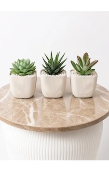 Modern Krem Kare Saksı Seti, 3'lü, 8,2x8,2x7,1 Cm, Sukulent Ve Kaktüs Bitkilerine Uygun Diğer Modern Krem Kare Saksı Seti, 3'lü, 8,2x8,2x7,1 Cm, Sukulent Ve Kaktüs Bitkilerine Uygun Diğer