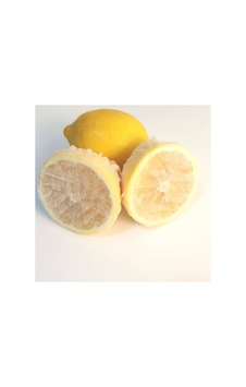Limon Bonesi / Bitki Çayı Bonesi 250 Adet Diğer