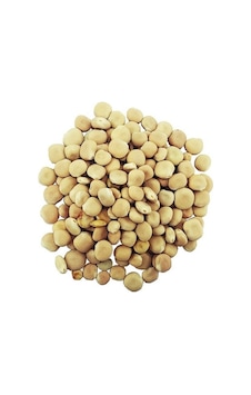 Acı Bakla Termiye 1 KG Acı Bakla Termiye 1 KG