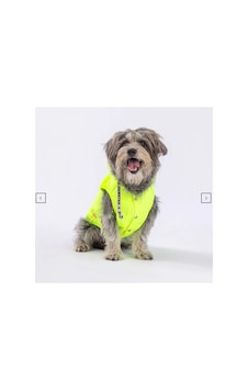 Neon Sarı Su İtici Köpek Yağmurluğu Neon Sarı Su İtici Köpek Yağmurluğu