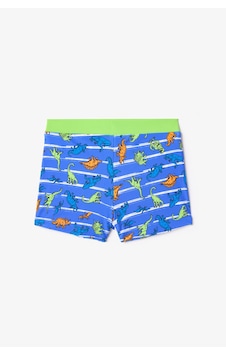 Penti Renkli Dinozor Desenli Erkek Çocuk Boxer Mayo