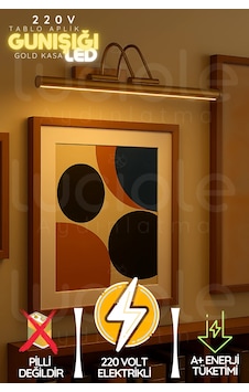 Parlak Gold Kasa Günışığı Led Flüt Tablo Aplik 35 Cm 220v Duvar Işığı Voltline Serisi Diğer