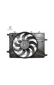 Fan Motoru Peugeot 1253.r4 Fan Motoru Peugeot 1253.r4