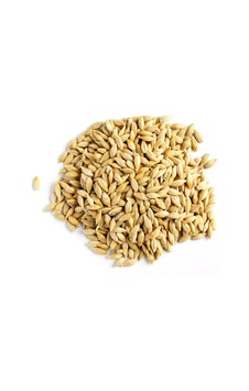 Bşk Virgo Eriş Arpa Tane 40 Kg Bsk2026 Bşk Virgo Eriş Arpa Tane 40 Kg Bsk2026