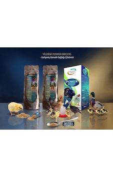 Yılsac E-sel + C + 100 Gr X 2 Adet +power Brood 100 Ml Kuş Ve Kanatlılar İçin Vitamin Takviyesi Yılsac E-sel + C + 100 Gr X 2 Adet +power Brood 100 Ml Kuş Ve Kanatlılar İçin Vitamin Takviyesi