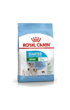 Royal Canin Mini Starter Küçük Irk Anne ve Yavru Köpek Maması 4 KG Royal Canin Mini Starter Küçük Irk Anne ve Yavru Köpek Maması 4 KG