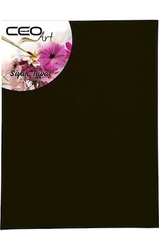 Ceoart 25x35 Siyah Tuval Ceo-tu0012
