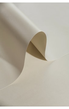 Sedef Fon Kartonu - Krem 160 Gr. 50x70 Cm Sedef Fon Kartonu - Krem 160 Gr. 50x70 Cm