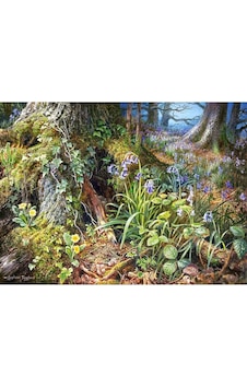 Castorland 2000 Parça From Rusland Woods Puzzle