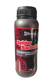 Bmusa Spider Bacterium Organik Silikonlu Yayıcı-yapıştırıcı 1kg. 1 KG Bmusa Spider Bacterium Organik Silikonlu Yayıcı-yapıştırıcı 1kg. 1 KG