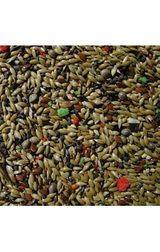 Karışık Kanarya Yemi 5 KG Karışık Kanarya Yemi 5 KG