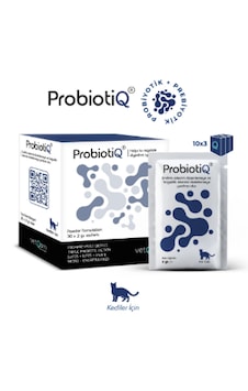 Vetqom Probiotiq Kedi Probiyotik Desteği Kötü Koku, İshal, Antdibiyotik Sonrası & Hassas Mide İçin Veteriner Takviyesi Vetqom Probiotiq Kedi Probiyotik Desteği Kötü Koku, İshal, Antdibiyotik Sonrası & Hassas Mide İçin Veteriner Takviyesi