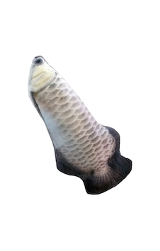 Eastland - 526 - Peluş Oyn. Gümüş Arowana - Csmo-tex - 40 Cm Eastland - 526 - Peluş Oyn. Gümüş Arowana - Csmo-tex - 40 Cm