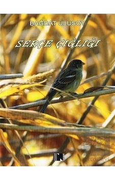 Serçe Çığlığı - Bağdat Ulusoy - Nitelik Kitap