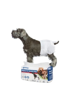 Depomıx Pawise Köpek Alt Bağlama Bezi Xl Boy 12 Adet Depomıx Pawise Köpek Alt Bağlama Bezi Xl Boy 12 Adet