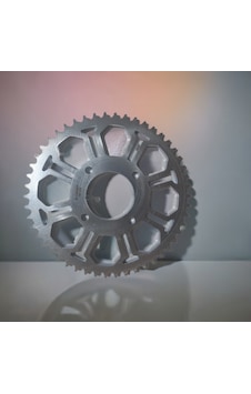 Tvs Raider 125 50t Teker Dişlisi