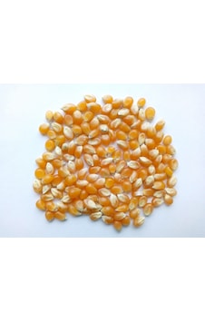 Kargı Yöresel Patlak Mısır 10 KG Kargı Yöresel Patlak Mısır 10 KG